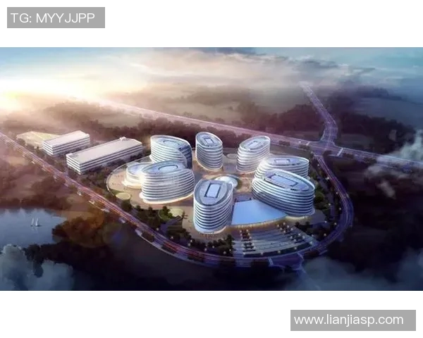 广州乒乓球队防守革新之路探秘与未来展望